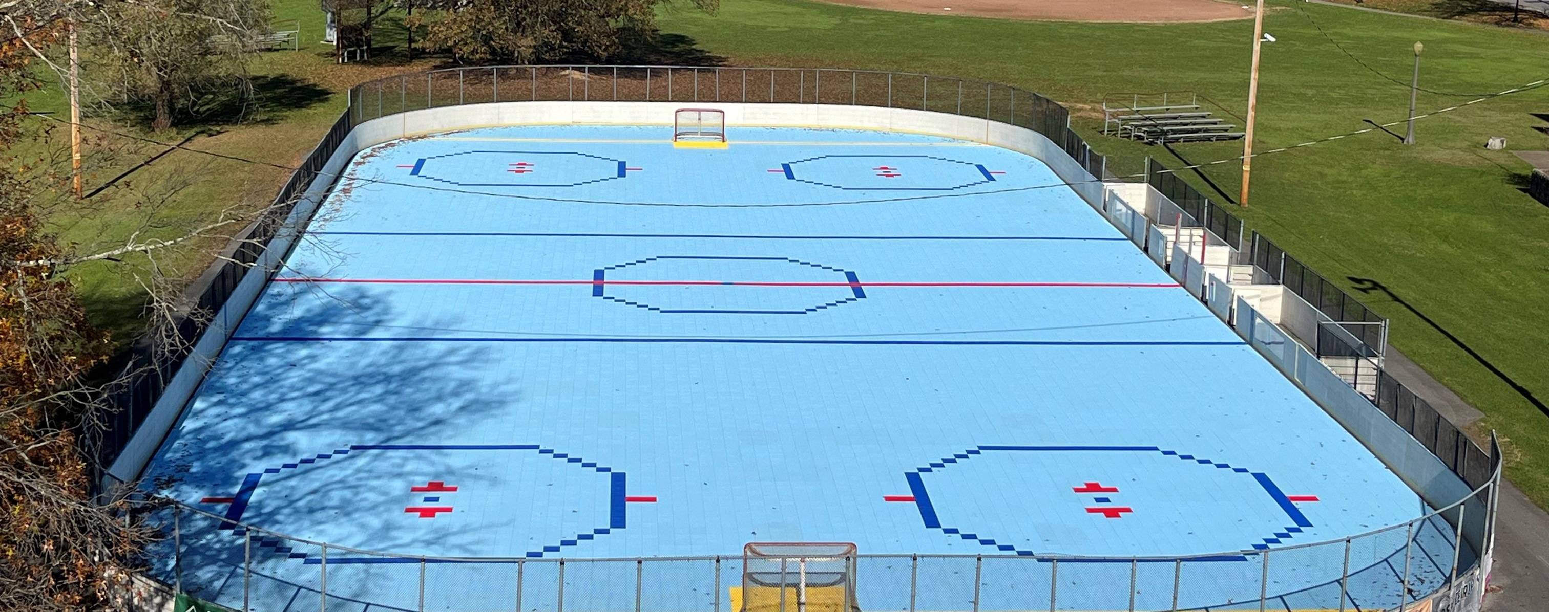 Hockey Rink Crop